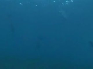Pod vodo x ocenjeno film
